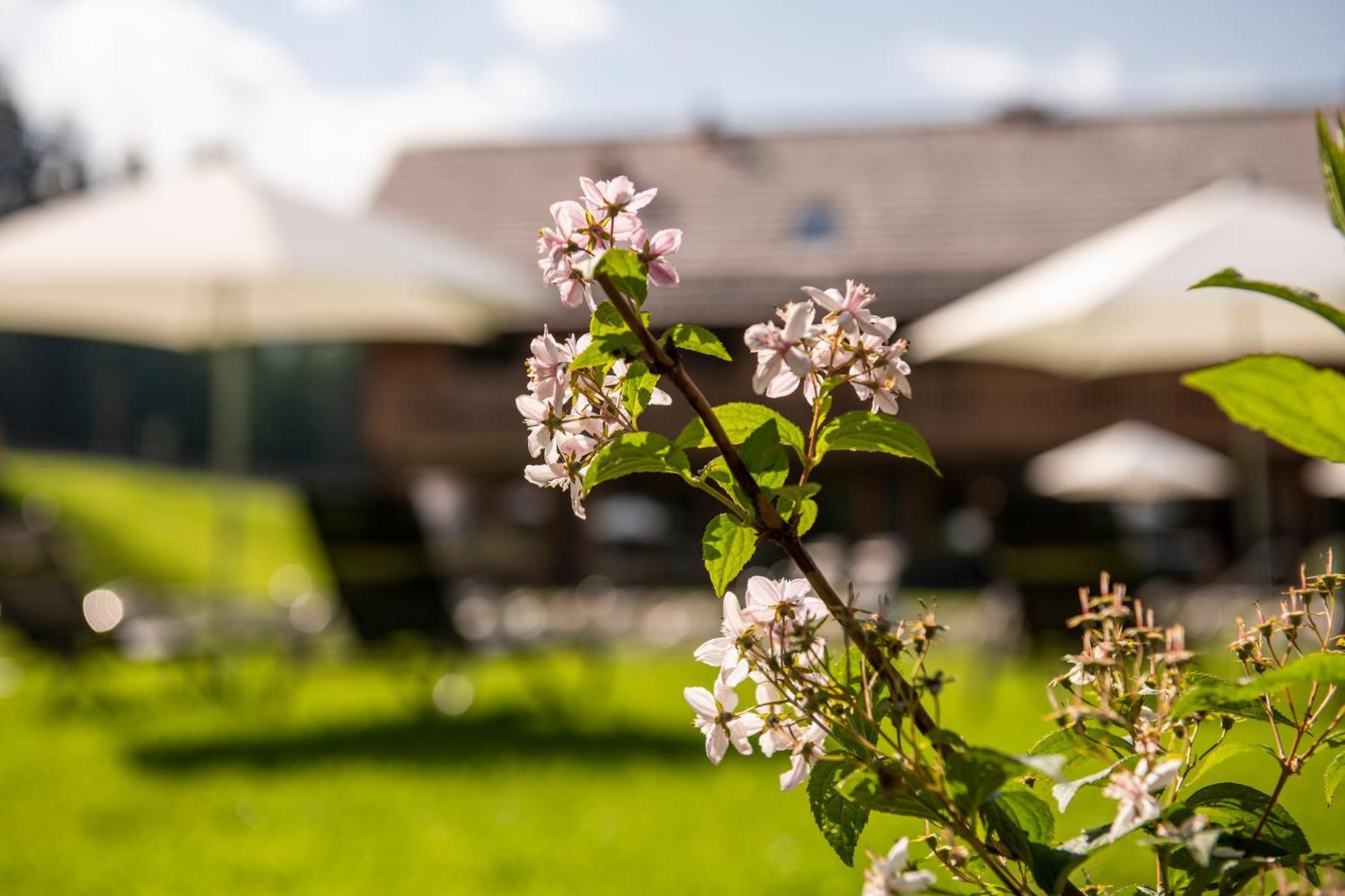 Lerchpeuntgut Alpenfreud Apartments Tamsweg Exteriör bild