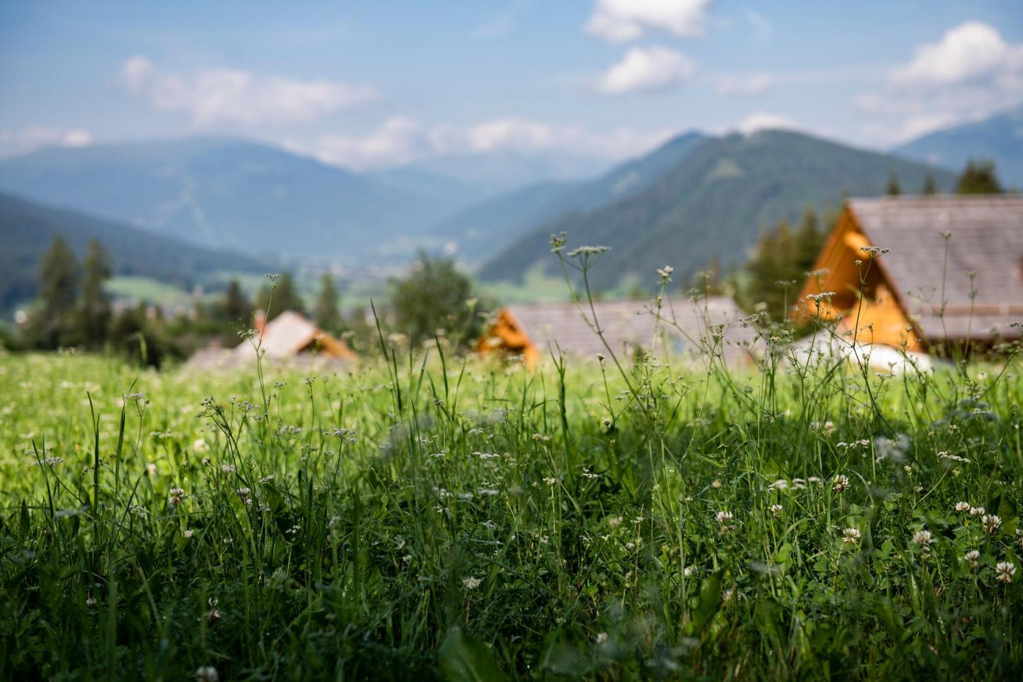 Lerchpeuntgut Alpenfreud Apartments Tamsweg Exteriör bild