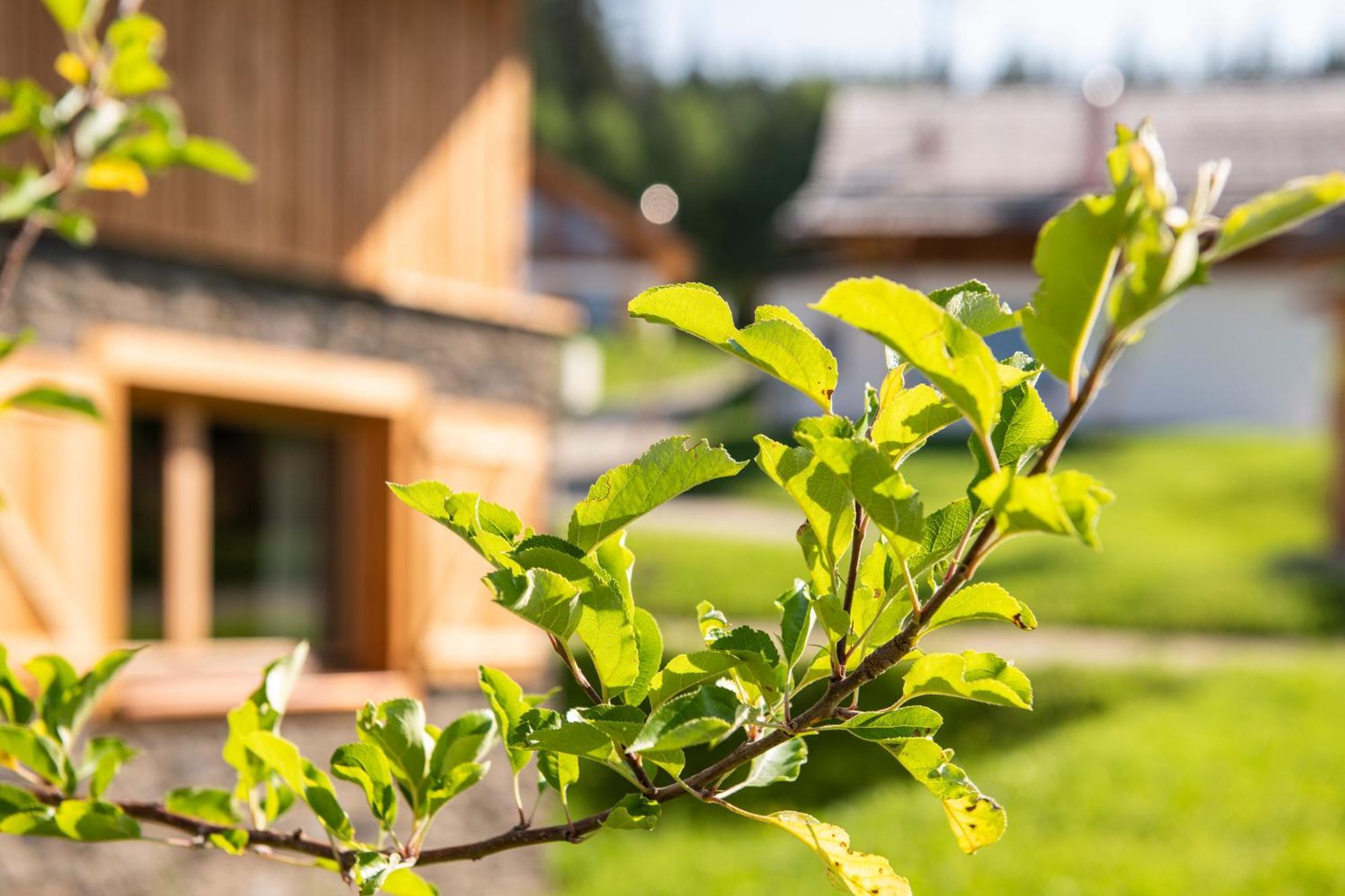Lerchpeuntgut Alpenfreud Apartments Tamsweg Exteriör bild